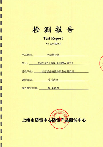 Lightning protection test report of products