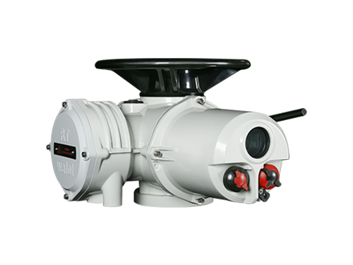 RTS multi-turn intelligent switch type