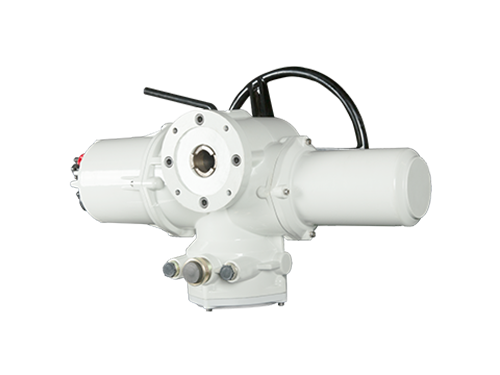 RTS multi-turn intelligent explosion-proof type